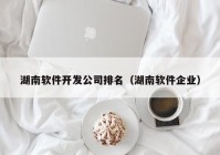 湖南软件开发公司排名（湖南软件企业）