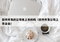 软件开发的公司有上市的吗（软件开发公司上市企业）