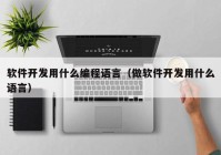 软件开发用什么编程语言（做软件开发用什么语言）